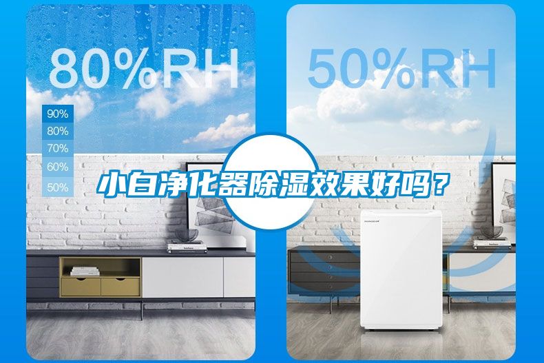 小白凈化器除濕效果好嗎？