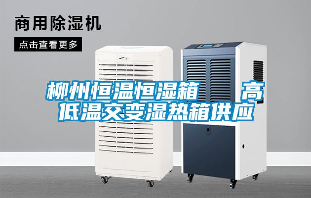 柳州恒溫恒濕箱 高低溫交變濕熱箱供應(yīng)