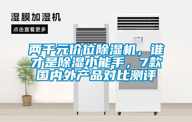 兩千元價位除濕機，誰才是除濕小能手，7款國內外產品對比測評