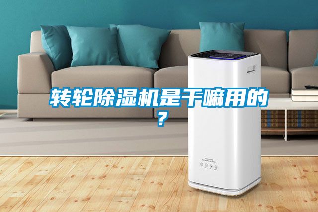 轉輪除濕機是干嘛用的?