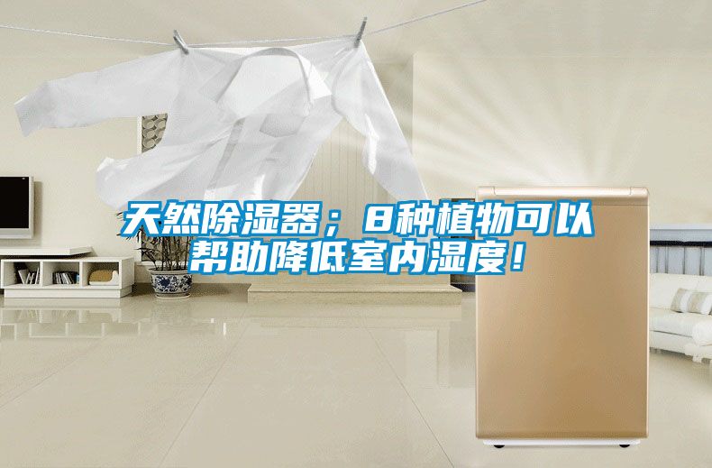 天然除濕器;8種植物可以幫助降低室內(nèi)濕度!