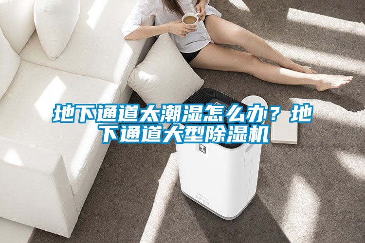 地下通道太潮濕怎么辦?地下通道大型除濕機