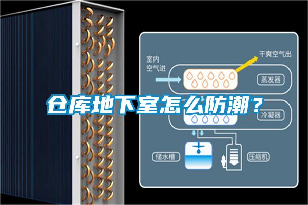 倉(cāng)庫(kù)地下室怎么防潮？