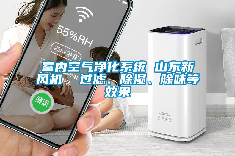 室內空氣凈化系統(tǒng) 山東新風機  過濾、除濕、除味等效果