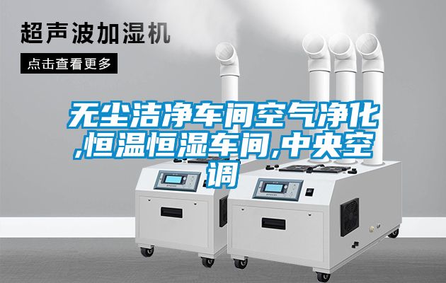 無(wú)塵潔凈車(chē)間空氣凈化,恒溫恒濕車(chē)間,中央空調(diào)