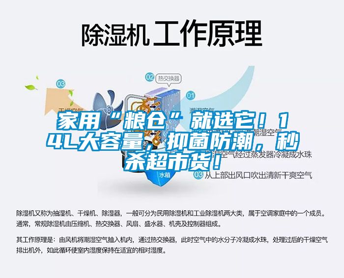 家用“糧倉(cāng)”就選它！14L大容量，抑菌防潮，秒殺超市貨！