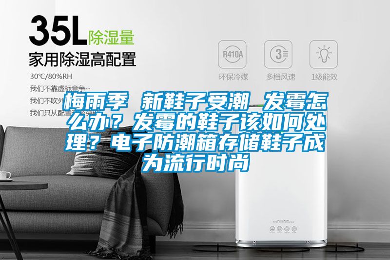 梅雨季 新鞋子受潮 發霉怎么辦？發霉的鞋子該如何處理？電子防潮箱存儲鞋子成為流行時尚