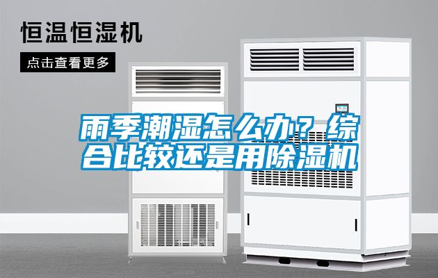 雨季潮濕怎么辦？綜合比較還是用除濕機