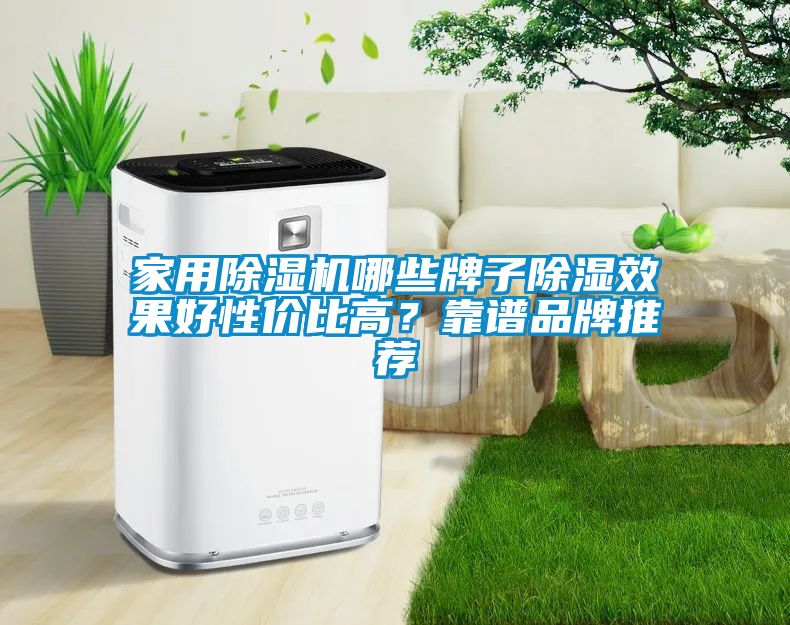 家用除濕機哪些牌子除濕效果好性價比高？靠譜品牌推薦