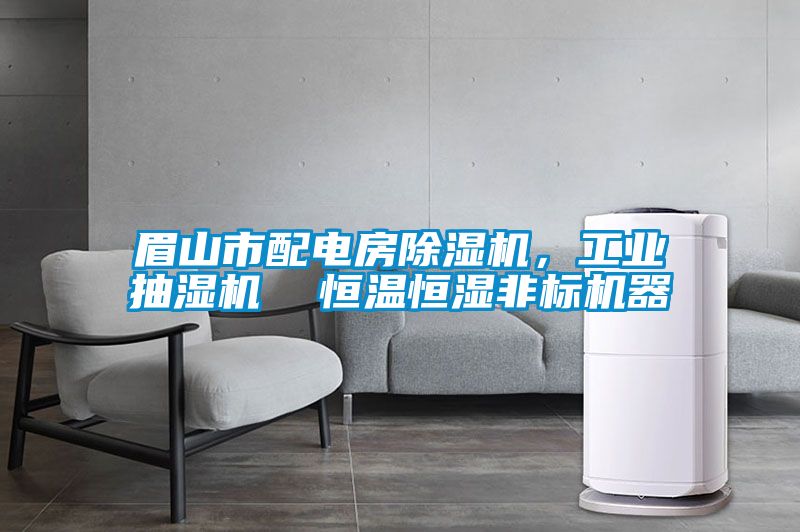 眉山市配電房除濕機(jī)，工業(yè)抽濕機(jī)  恒溫恒濕非標(biāo)機(jī)器