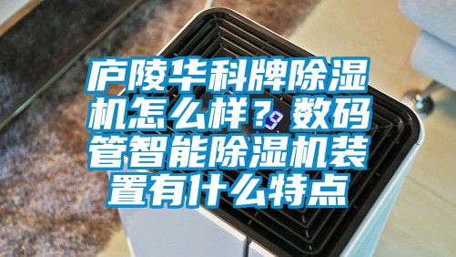 廬陵華科牌除濕機怎么樣?數碼管智能除濕機裝置有什么特點