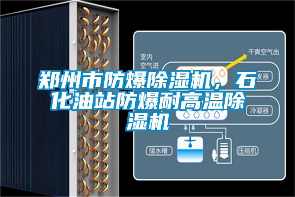 鄭州市防爆除濕機，石化油站防爆耐高溫除濕機